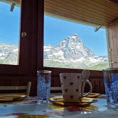 La Coquille De Neige *